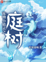 大王不容易小说