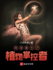 视频导航大全