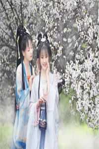 但使主人能醉客