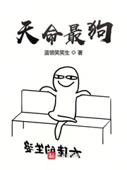岛国电影网站