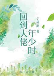 最爱你的那十年小说