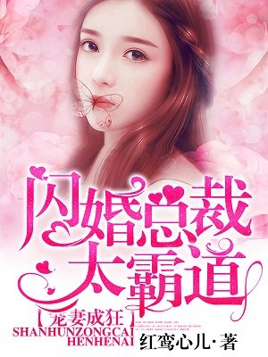 塔城小猫