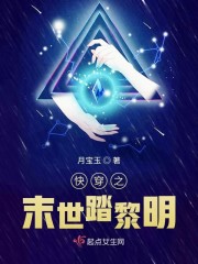 描写细腻车速快的文po李