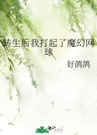 造王者国语在线观看免费