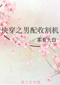倚天屠龙别传全文目录