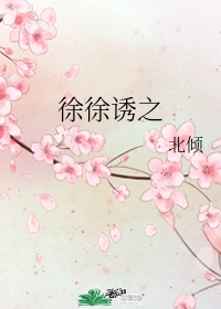 少年宾文全文房东太太