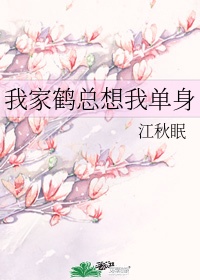 www.seh7.com