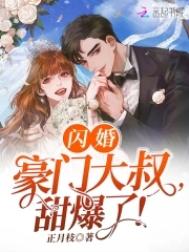 名侦探柯南m26