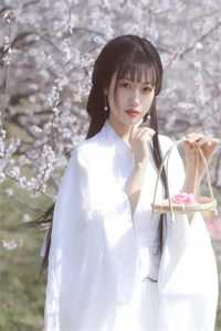 火线传奇灵孤身全光
