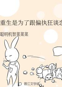 司机情人