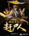 桃运村医 小说