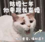 三心两性