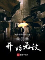 穿越之贤能妻