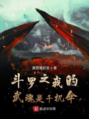 官场品尝老女人