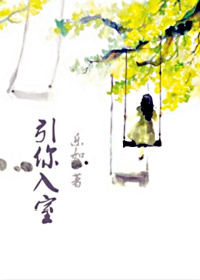 戴路视频