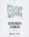 萧逸穿越成废太子的小说