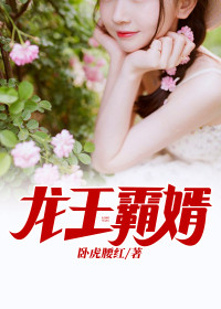 8050网午夜