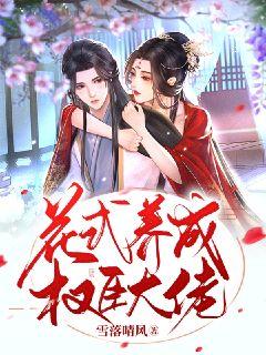 我的团长我的团无删减版