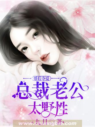 小说官路风流