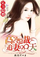 ckplayer资源