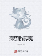 免费的禁片观看