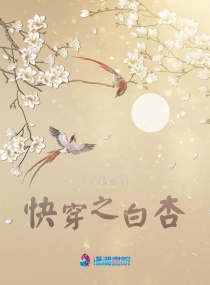 猎美征服全领导贵妇