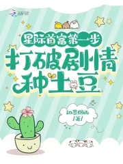 龙牌之谜完整