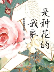 朱重八真命天子电视剧全集免费