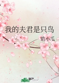 动漫龙王的工作夏洛图片