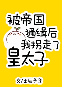 黑狐演员表