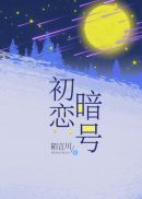 萧廷宴的小说