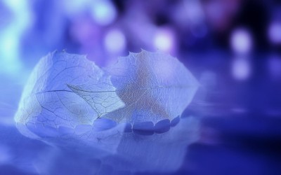 太深了吧唧吧唧吧唧吧唧视频免费
