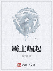 类似白洁的小说