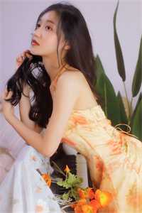 夏如卿赵君尧司锦重生全文免费阅读