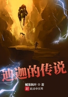 龙腾小说阅读网 合集