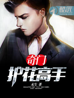 纵横秘史小说