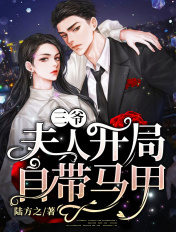 vivo主题永久破解