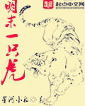 数码兽大冒险
