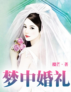 丢了猫千万别找为什么