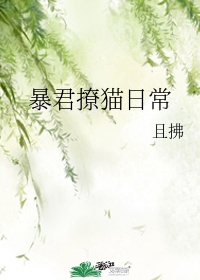 美脚连裤袜在线中文字幕