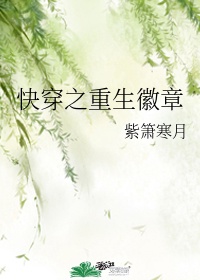 台式电脑怎么连接网络