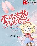 风花雪月无删减完整观看