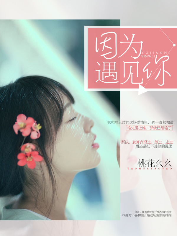 肖奈高hnp