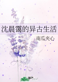 徐锦江无敌风火完全版