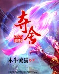 菊子电视剧