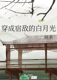 车车好快的车车污网站rh免费
