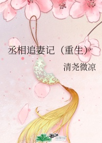 韩国理论片免费观看