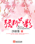 丢了猫千万别找为什么