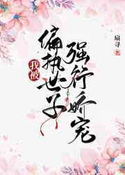 沉沦女律师洛云全文
