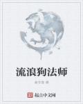候卫东官场笔记有声小说